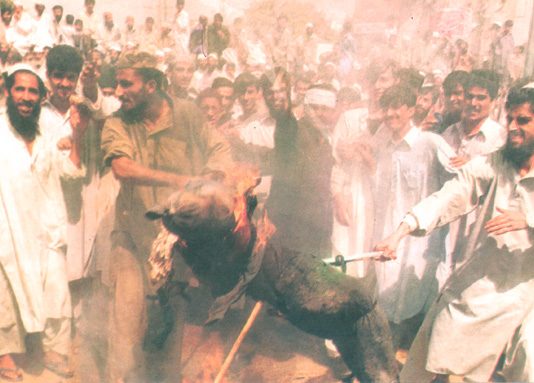 Demonstrators in Karachi burn an effigy of George ‘dog’ Bush  after US forces bombed Afghanistan in September 2001