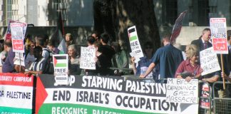 A section of the 400-strong picket of Downing Street against the Blair government’s refusal to condemn Israel for its attack on the Palestinian people