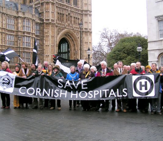 Lobby of Parliament on January 16th by hospitals from all over the country against NHS cuts