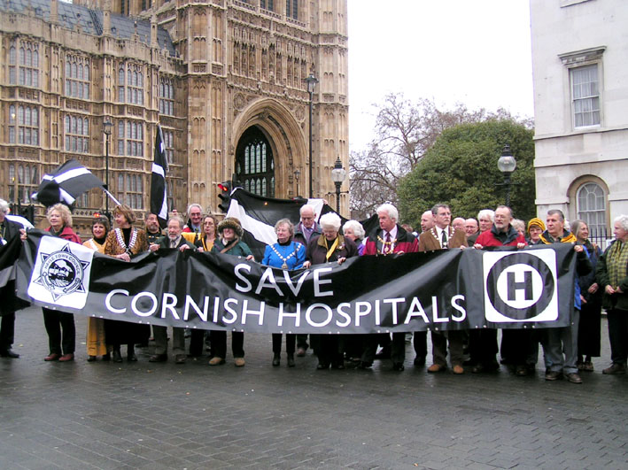 Lobby of Parliament on January 16th by hospitals from all over the country against NHS cuts