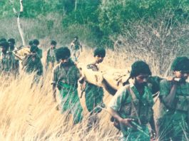 Tamil Tiger fighters carrying their wounded through the countryside