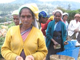 Low paid Tamil tea plantation workers in the Sri Lankan highlands