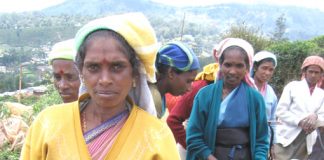 Low paid Tamil tea plantation workers in the Sri Lankan highlands
