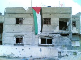 Palestinians fly their  flag in Beit Hanoun in defiance of Israeli army shelling of their homes