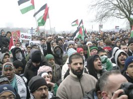 Some of the 200,000 who marched on the Israeli Embassy last Saturday at the rally in Hyde Park before the march