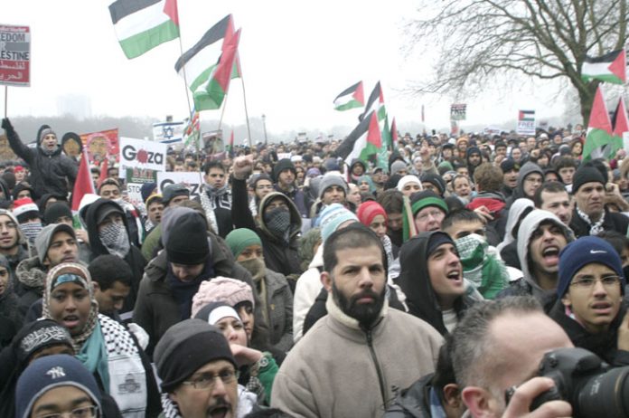 Some of the 200,000 who marched on the Israeli Embassy last Saturday at the rally in Hyde Park before the march