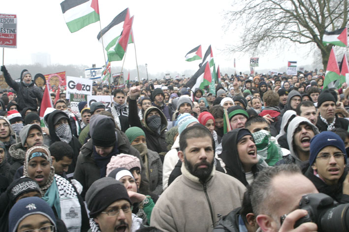 Some of the 200,000 who marched on the Israeli Embassy last Saturday at the rally in Hyde Park before the march