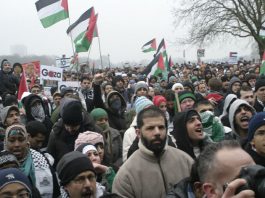 A section of the huge 100,000-strong crowd at the rally in Hyde Park on January 10th before marching on the Israeli Embassy