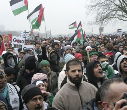 A section of the huge 100,000-strong crowd at the rally in Hyde Park on January 10th before marching on the Israeli Embassy