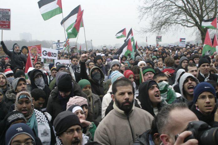 A section of the huge 100,000-strong crowd at the rally in Hyde Park on January 10th before marching on the Israeli Embassy