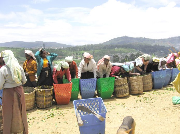 Sri Lankan tea plantation workers – being hit by huge increases in prices as well as facing the Rajapakse dictatorship