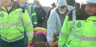 Nora Egan being stretchered away and taken to Basildon General Hospital after being injured in the police-led raid on her home early yesterday morning