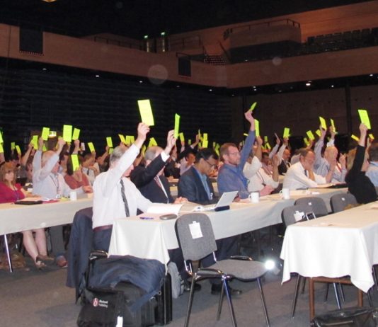 Delegates at the BMA Annual Representative Meeting (ARM) voting to keep hospitals owned and run by the NHS