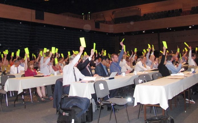 Delegates at the BMA Annual Representative Meeting (ARM) voting to keep hospitals owned and run by the NHS