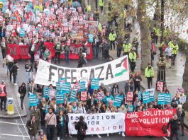 Student banners show their solidarity with the Palestinian struggle and Revolution is the Solution