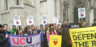 Supporters of the Sussex occupation lobby the Royal Court of Justice