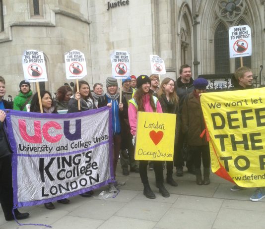 Supporters of the Sussex occupation lobby the Royal Court of Justice