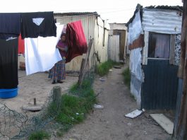 Shanty dwellings in a South African township