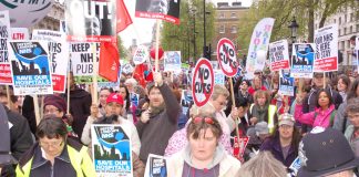 Demonstrators in London last May determined to defend the NHS