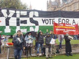 Lobby outside Parliament on October 13 last year as MPs voted for the recognition of a Palestinian state