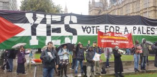 Lobby outside Parliament on October 13 last year as MPs voted for the recognition of a Palestinian state