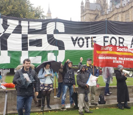 Lobby outside Parliament on October 13 last year as MPs voted for the recognition of a Palestinian state