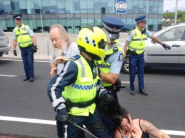 Unite Union organiser Olive McRae being pulled by her hair on a protest against the TTPA