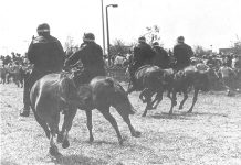 Mounted police cavalry charge striking miners at the Orgeave coke depot – Rudd announced no inquiry into police violence