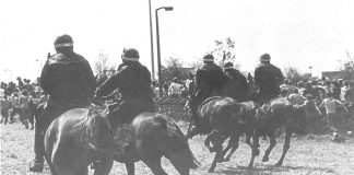 Mounted police cavalry charge striking miners at the Orgeave coke depot – Rudd announced no inquiry into police violence