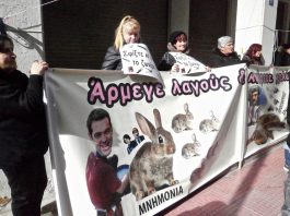 Greek hospital workers at their rally in Athens last Friday. Their banners denounce both ‘old’ and ‘new’ austerity. The hospital workers depict Greek Prime Minister Tsipras as ‘butchering’ their jobs