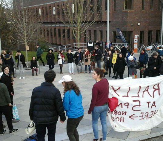 Students at Exeter University, one of a number of universities occupied to support striking lecturers