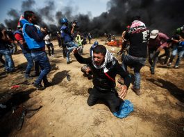 Palestinians close to the Gaza-Israel border fence. Over 100 have been killed since Land Day March 30