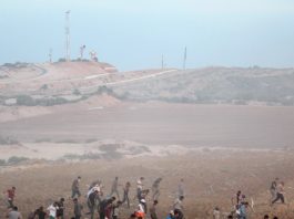 Palestinians on the Great March of Return on the Gaza border with Israel protest under the shadow of Israeli military observation posts and spy towers – farmers have now been fired on from these posts