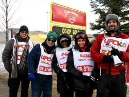 Striking Co-op workers picketing the Saskatoon, Saskatchewan Co-op