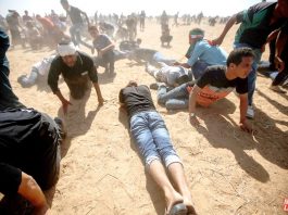 Palestinians on the Great March of Return on the Gaza border with Israel under attack from Israeli sniper fire