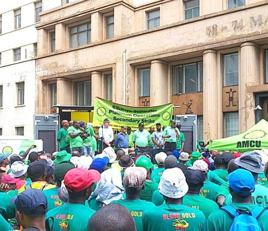 Striking Amcu Sibanye-Stillwater miners rally for a secondary strike after marching on the Mineral Council of South Africa and in Johannesburg